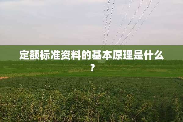定额标准资料的基本原理是什么？