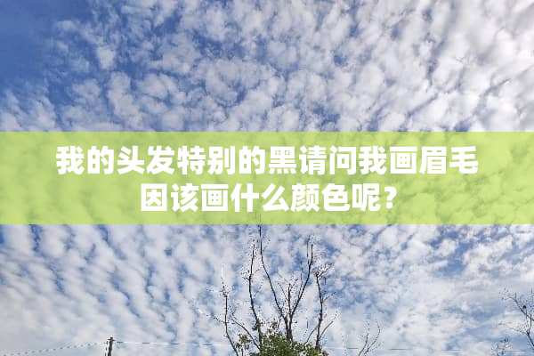 我的头发特别的黑请问我画眉毛因该画什么颜色呢？