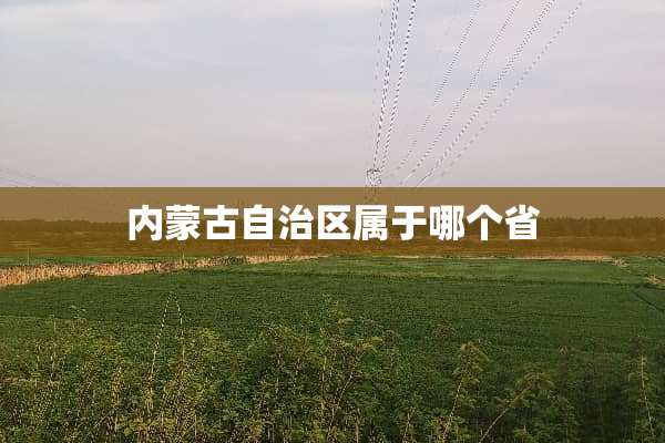 ***自治区属于哪个省