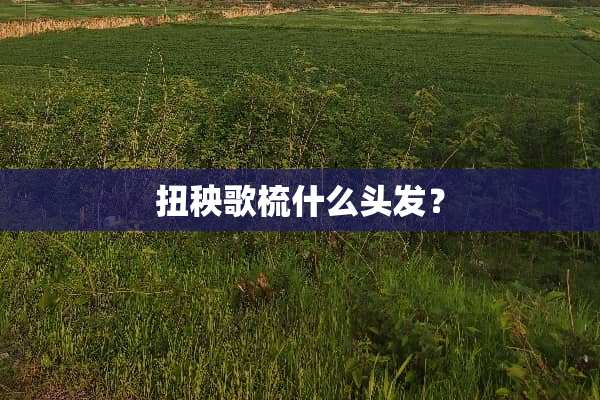 扭秧歌梳什么头发？