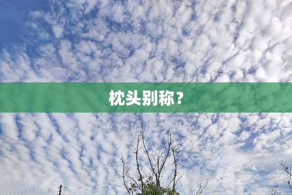 枕头别称？