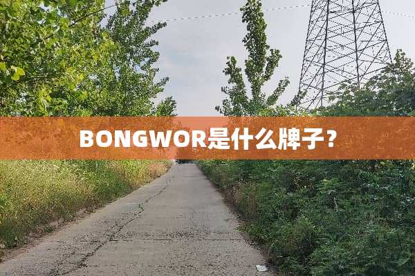 BONGWOR是什么牌子？