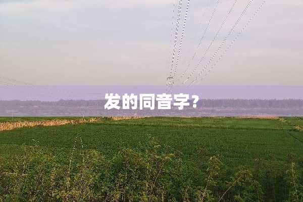发的同音字？