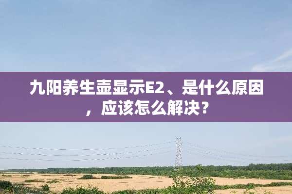 九阳养生壶显示E2、是什么原因，应该怎么解决？