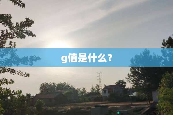 g值是什么？