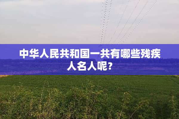 中华人民共和国一共有哪些残疾人名人呢？