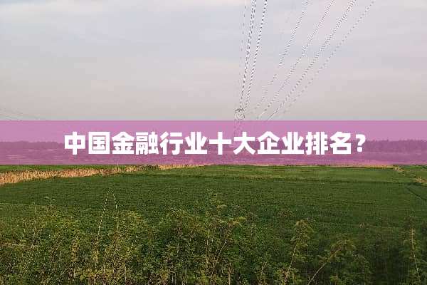 中国金融行业十大企业排名？
