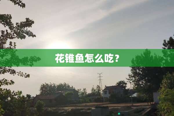 花锥鱼怎么吃？