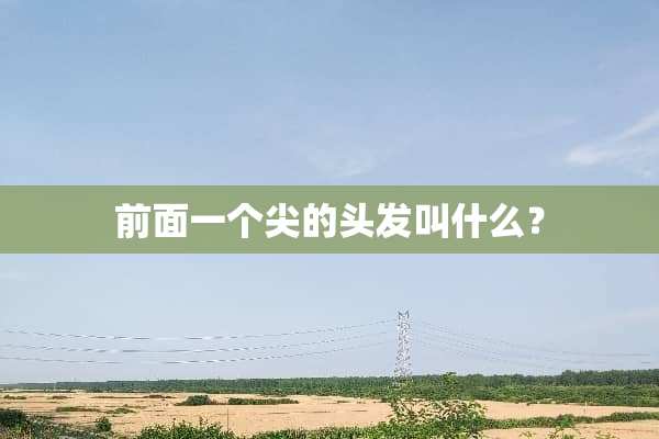 前面一个尖的头发叫什么？