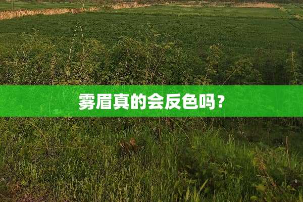 雾眉真的会反色吗？
