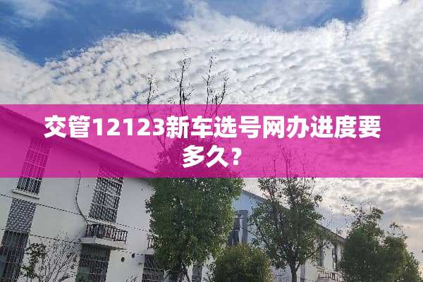 交管12123新车选号网办进度要多久？