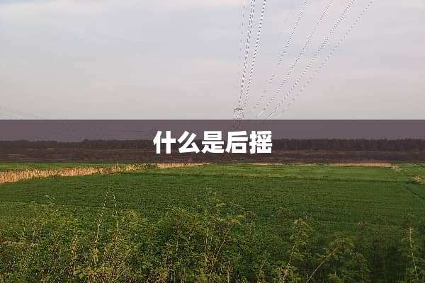 什么是后摇