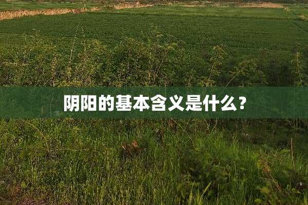 阴阳的基本含义是什么？