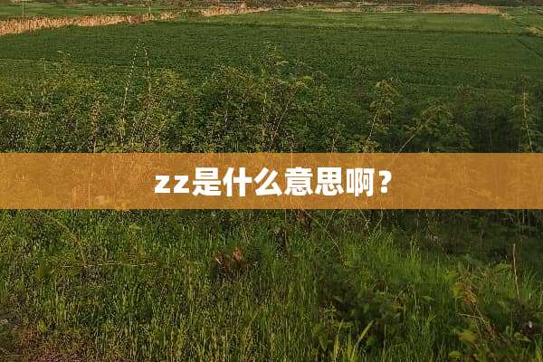 zz是什么意思啊？