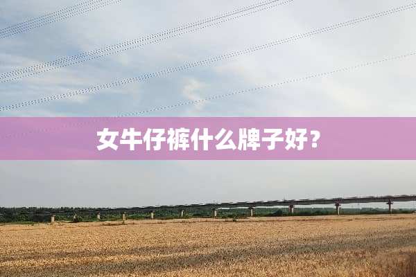 女牛仔裤什么牌子好？
