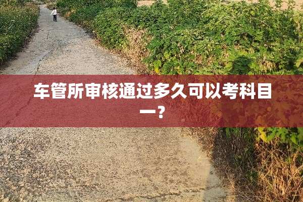 车管所审核通过多久可以考科目一？
