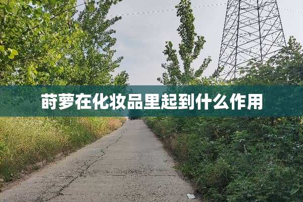 莳萝在化妆品里起到什么作用