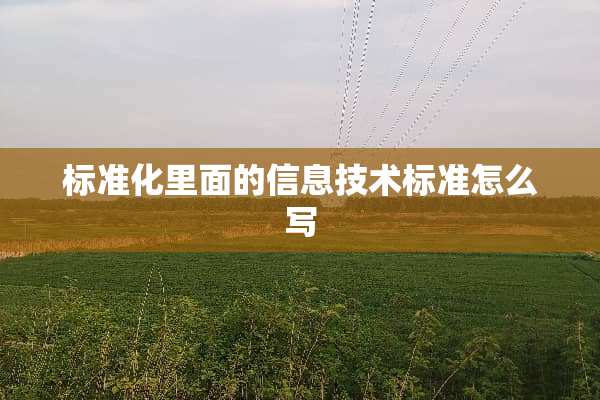 标准化里面的信息技术标准怎么写