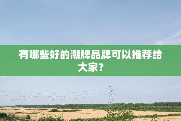 有哪些好的潮牌品牌可以推荐给大家？