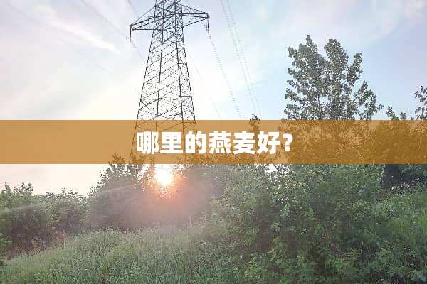 哪里的燕麦好？