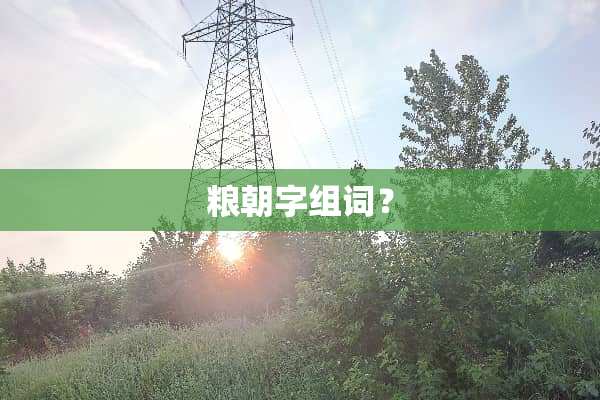 粮朝字组词？