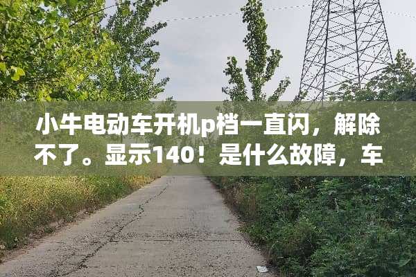 小牛电动车开机p档一直闪，解除不了。显示140！是什么故障，车子动不了。