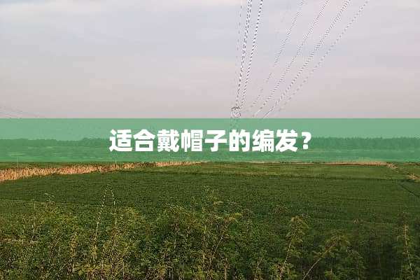 适合戴帽子的编发？