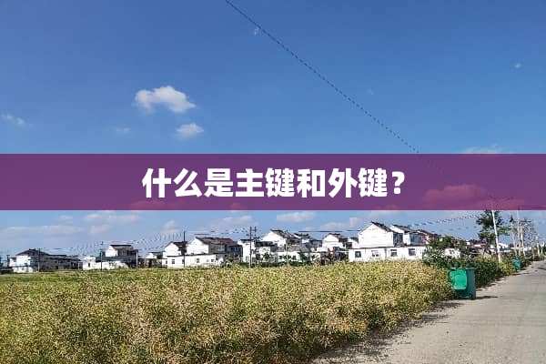 什么是主键和外键？