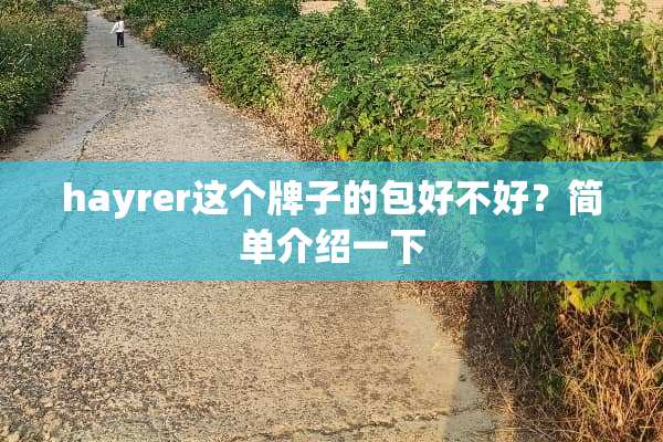 hayrer这个牌子的包好不好？简单介绍一下