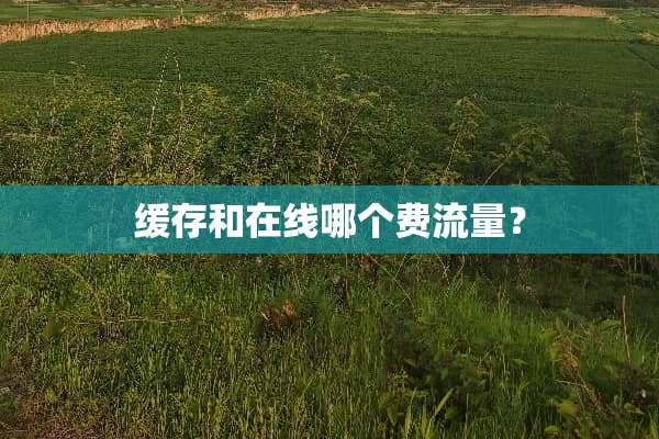缓存和在线哪个费流量？