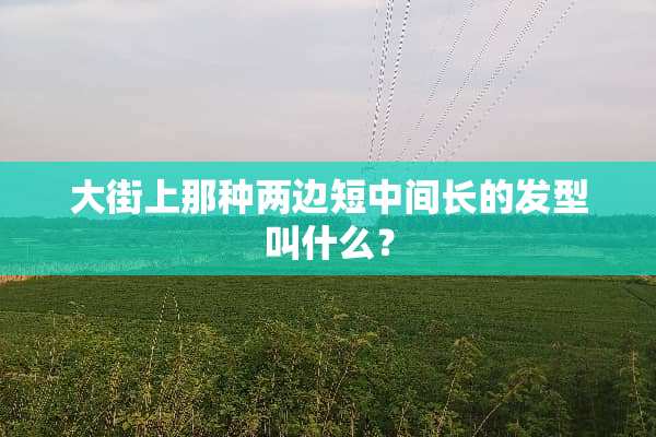 大街上那种两边短中间长的发型叫什么？