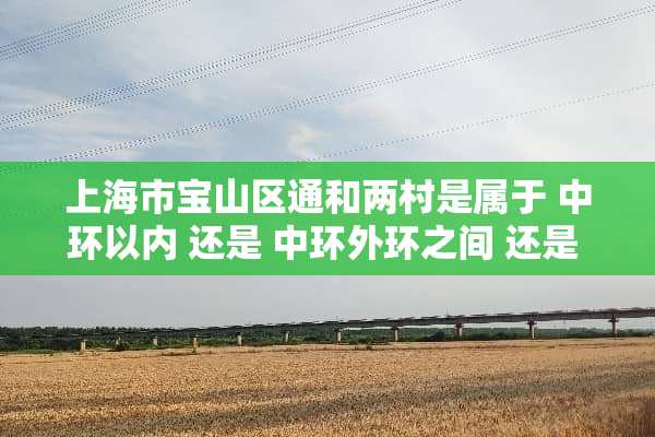 上海市宝山区通和两村是属于 中环以内 还是 中环外环之间 还是 外环以外