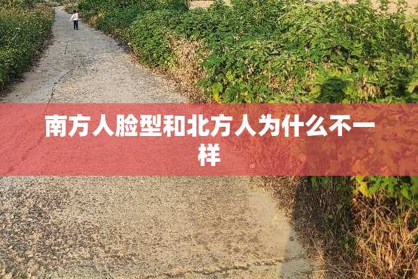 南方人脸型和北方人为什么不一样