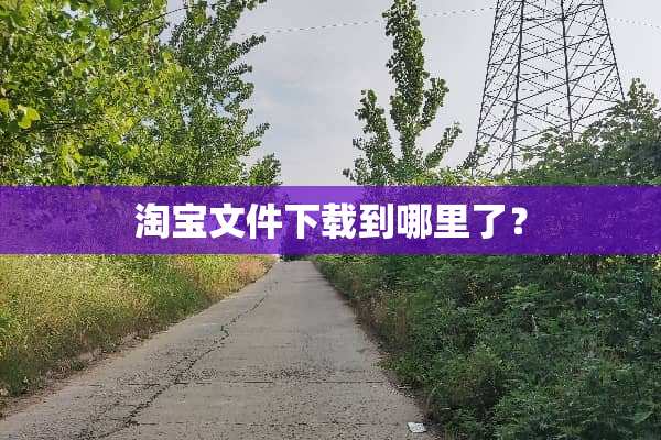 淘宝文件下载到哪里了？