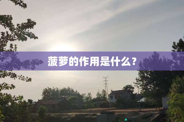 菠萝的作用是什么？