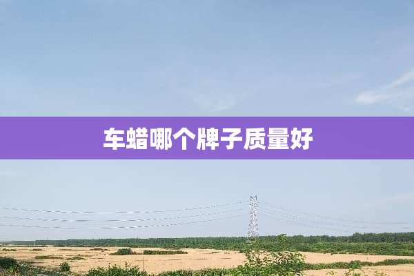 车蜡哪个牌子质量好