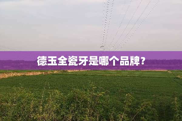 德玉全瓷牙是哪个品牌？
