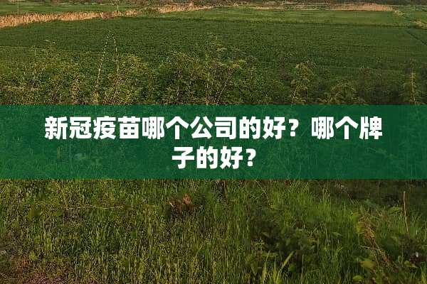 新冠**哪个公司的好？哪个牌子的好？