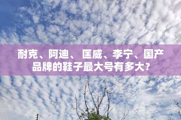 耐克、阿迪、 匡威、李宁、国产品牌的鞋子最大号有多大？