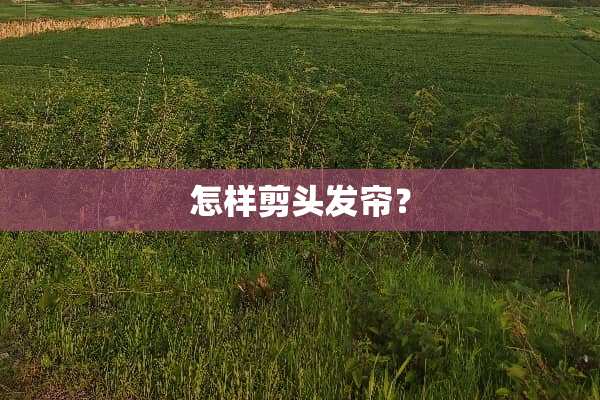 怎样剪头发帘？
