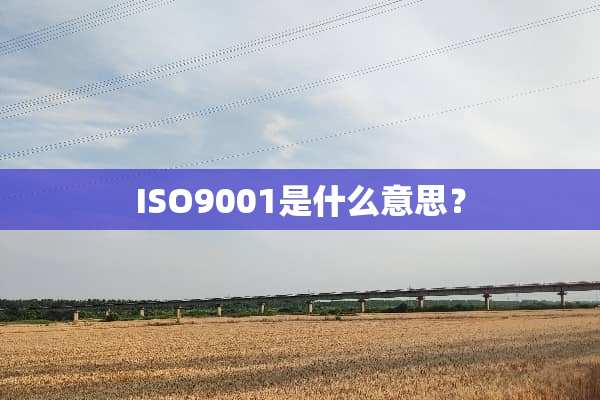 ISO9001是什么意思？