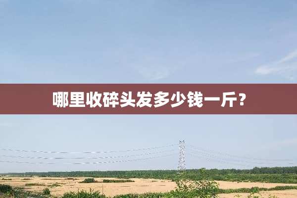 哪里收碎头发多少钱一斤？