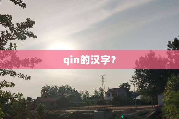 qin的汉字？