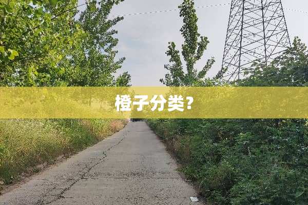 橙子分类？