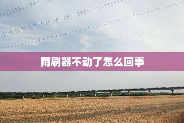 雨刷器不动了怎么回事