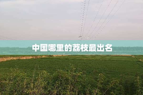 中国哪里的荔枝最出名
