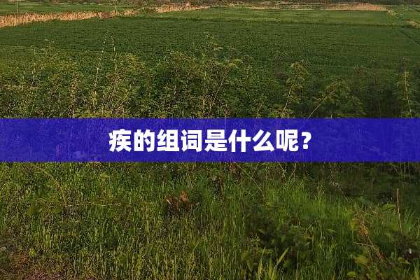 疾的组词是什么呢？