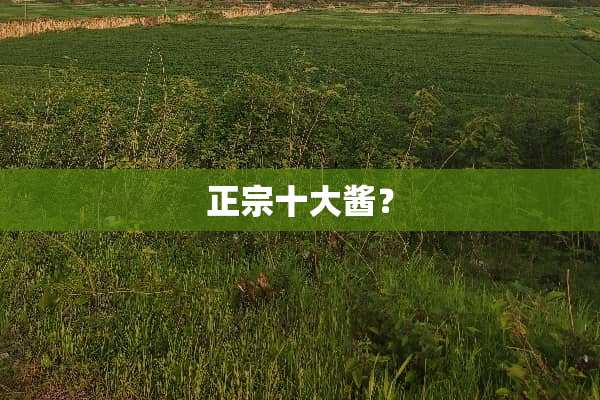 正宗十大酱？