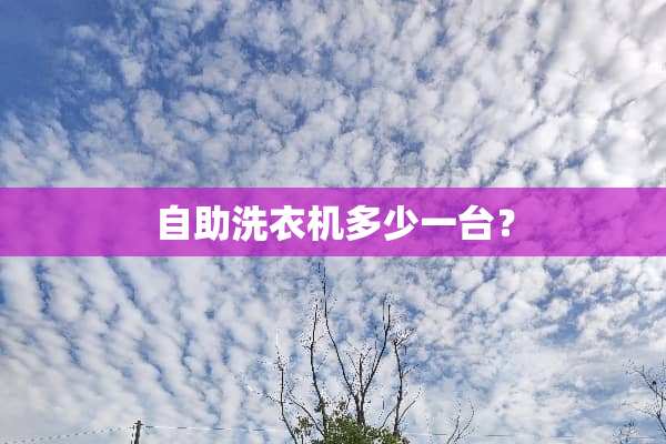自助洗衣机多少一台？