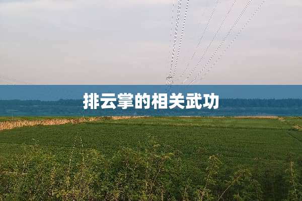 排云掌的相关武功